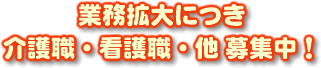 ���E�E�Ō�E����W��