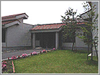 Shirayuri