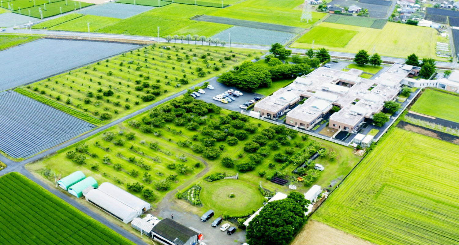 Sunset Over the City